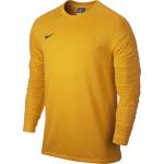 Bluza bramkarska męska Nike Park Goalie II żółta 588418 739