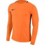 Bluza bramkarska męska Nike Dry Park Goalie III Jersey GK LS pomarańczowa 894509 803